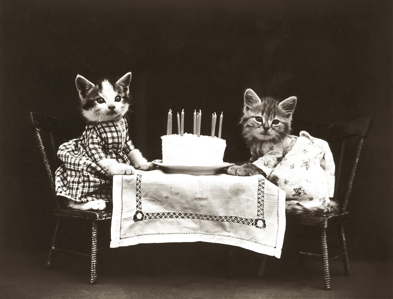 Kittieserie: Verjaardagsfeestje, c.1914 (zilverdruk) door Harry Whittier Frees