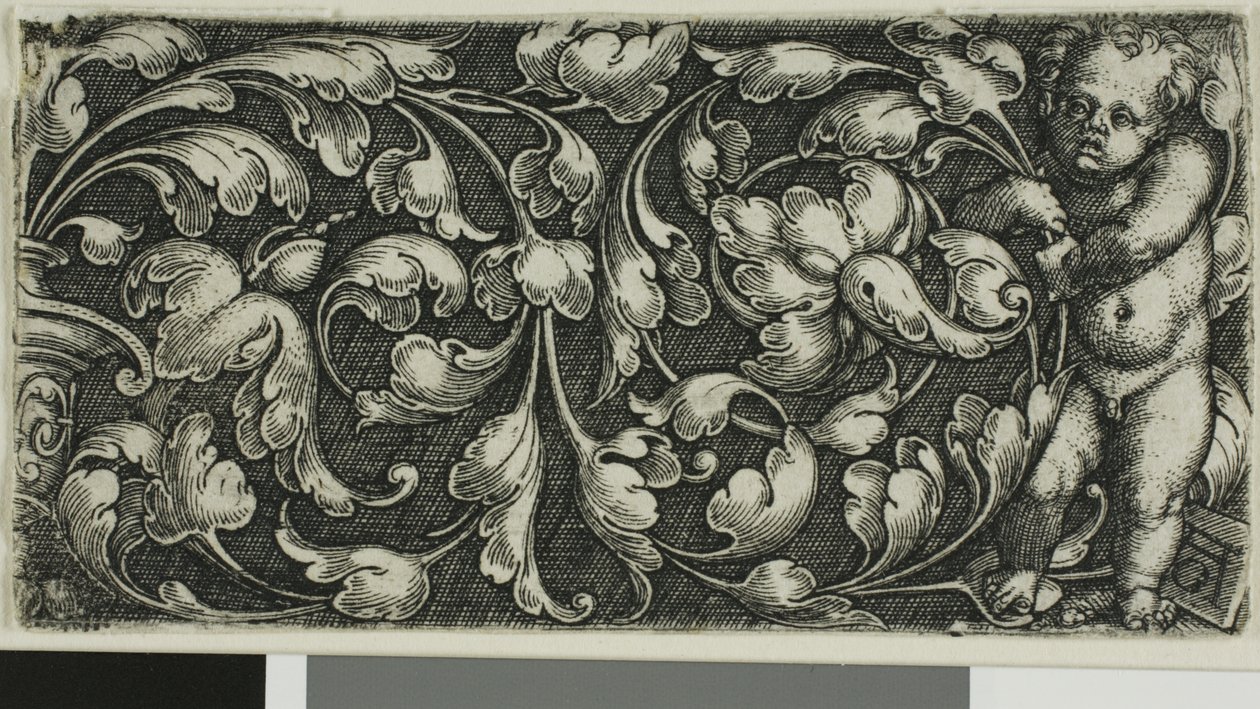 Een dubbele bladrol met rechts een putto door Heinrich Aldegrever