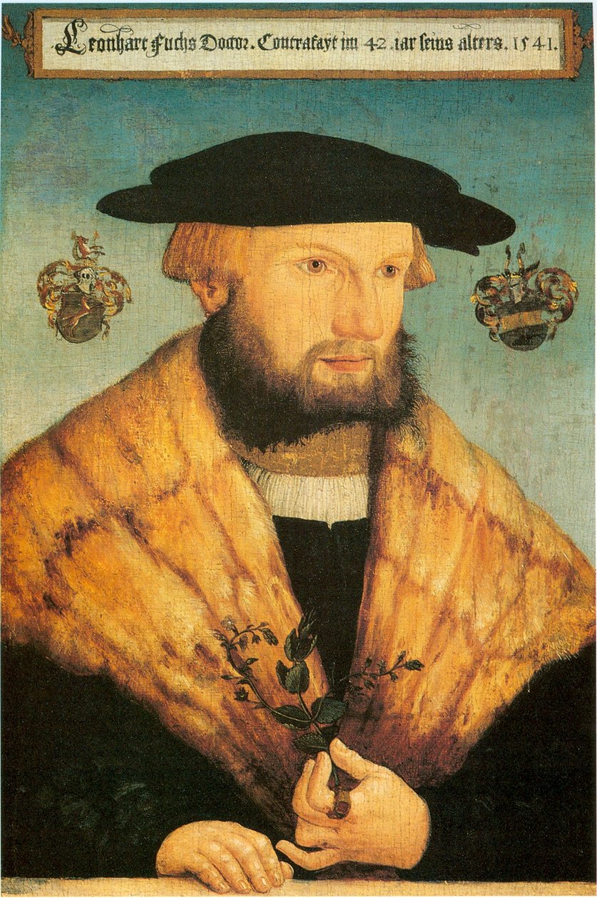 Portret van Leonhart Fuchs (1501-1566) door Heinrich Füllmaurer