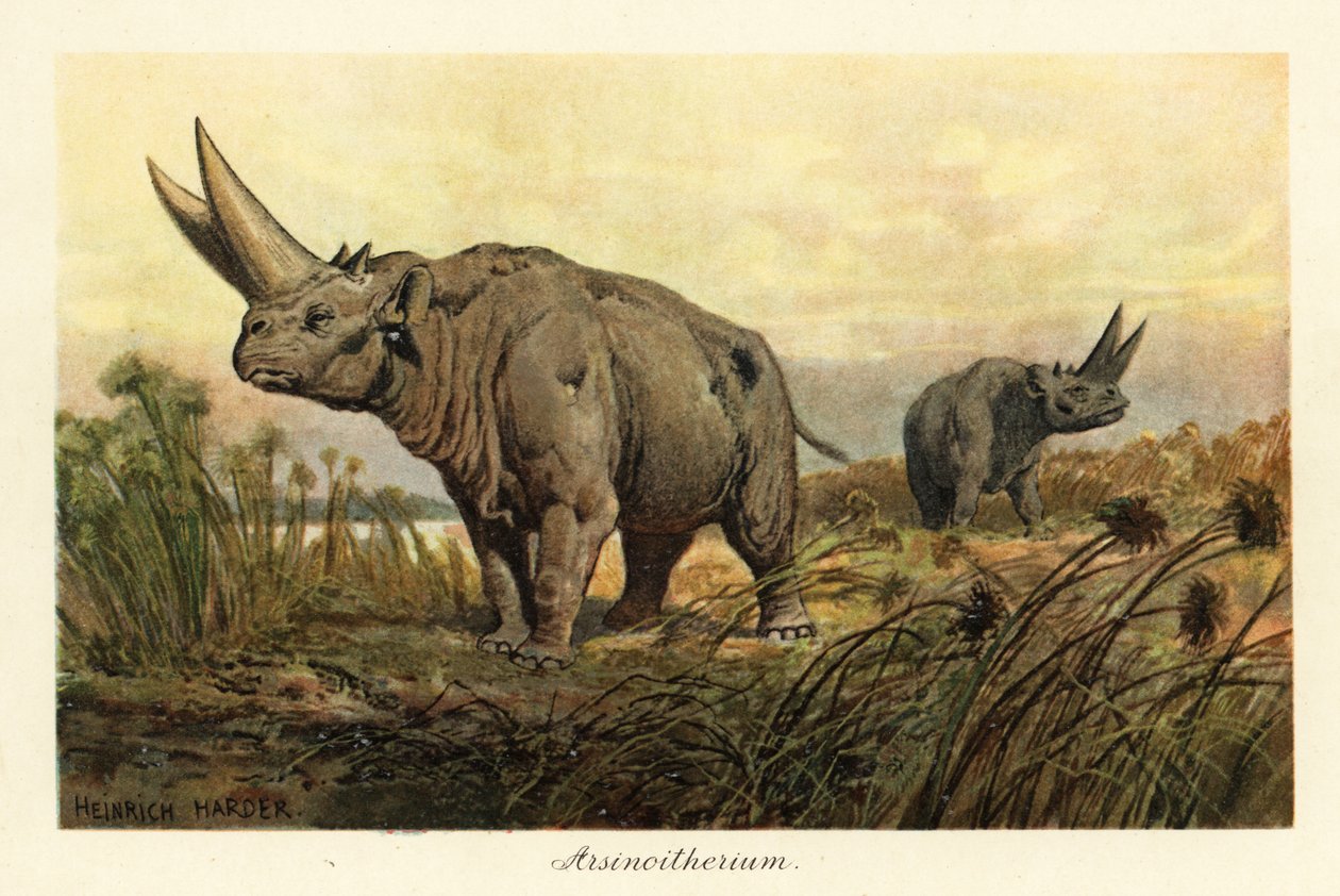 Arsinotherium, uitgestorven geslacht van paenungulate zoogdier door Heinrich Harder