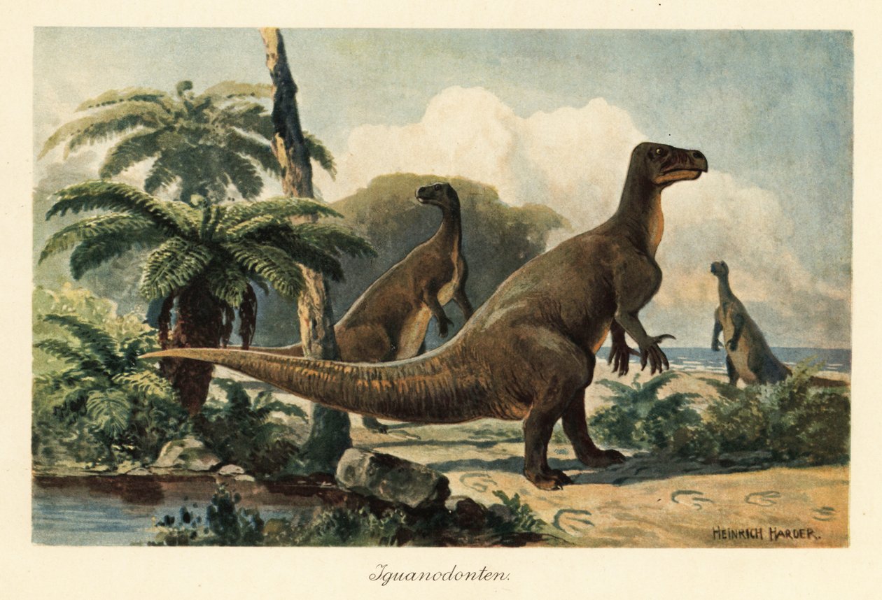 Iguanodon bernissartensis in een prehistorisch varensbos door Heinrich Harder
