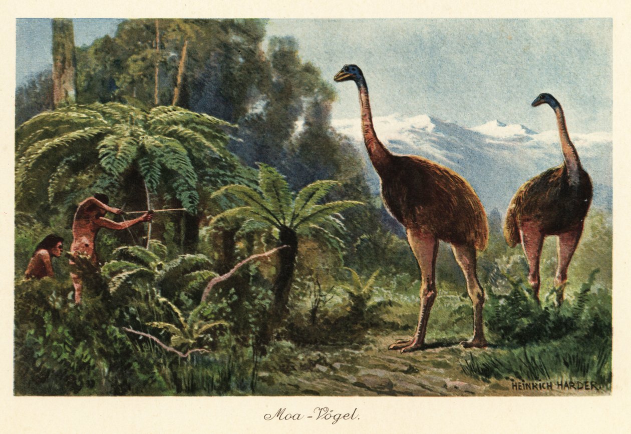 Moa-vogels die worden gejaagd door mannen met bogen en pijlen door Heinrich Harder