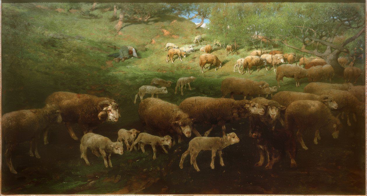 Schapenkudde met lammeren door Heinrich von Zügel