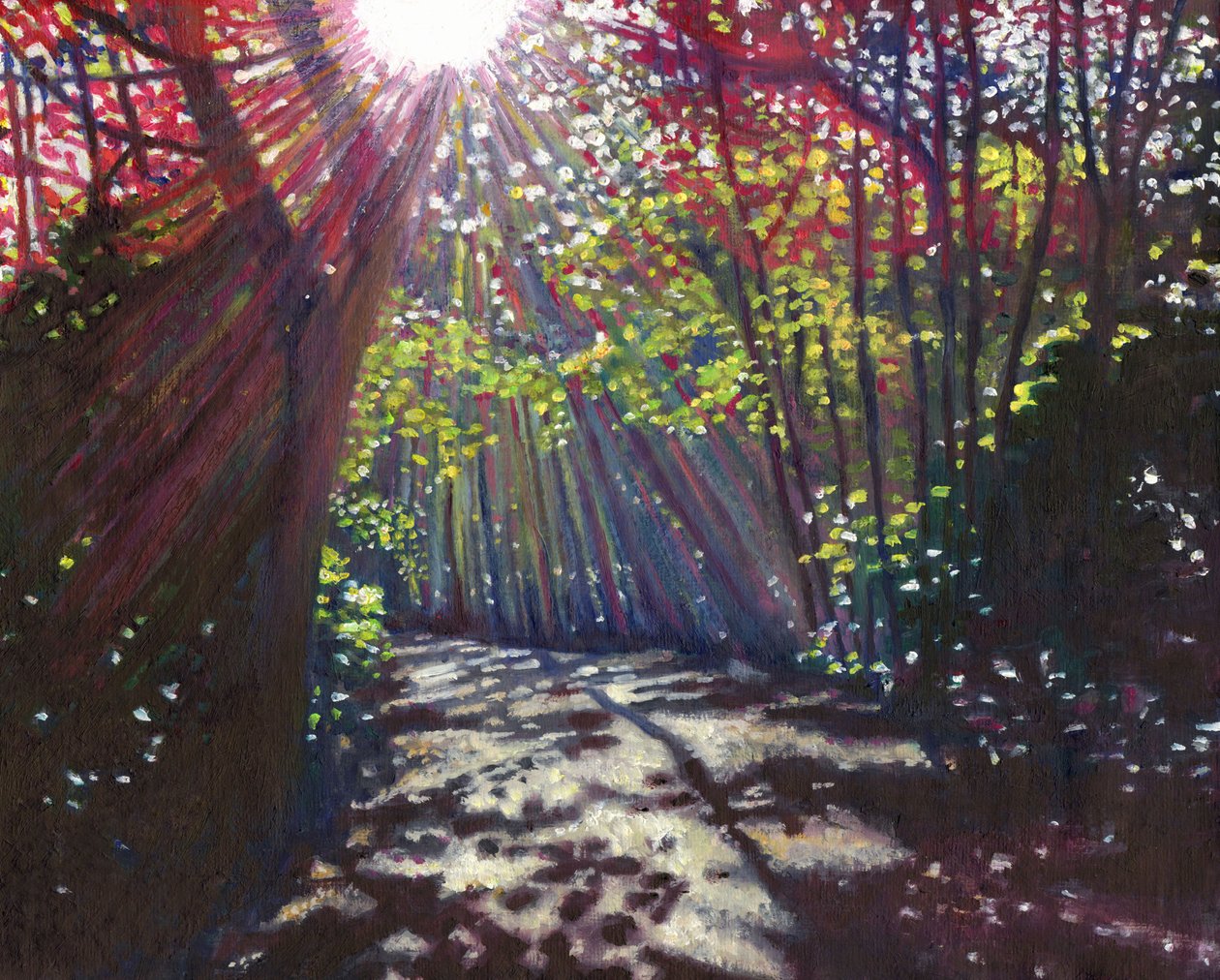 Verspreid licht, 2013 door Helen White