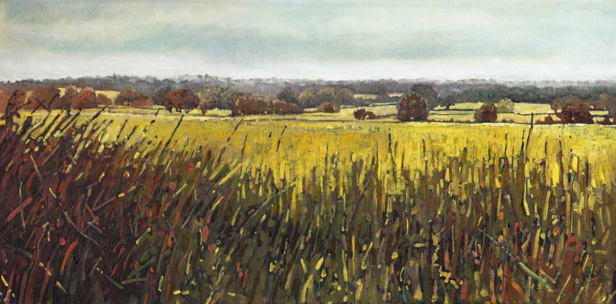 Naar Riseley, 2012 door Helen White