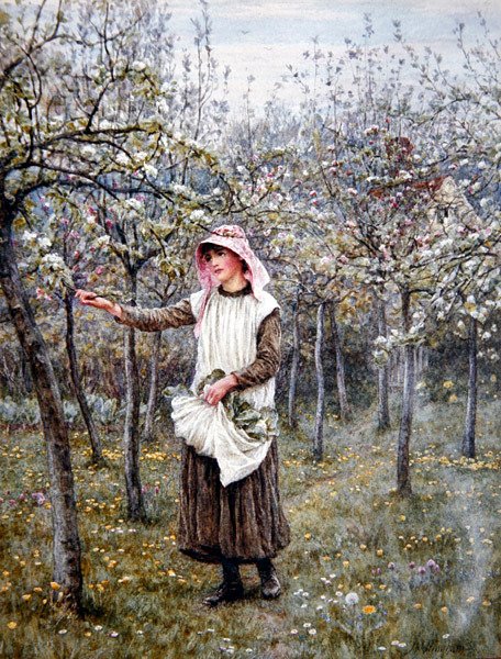 Bloesemtijd door Helen Allingham