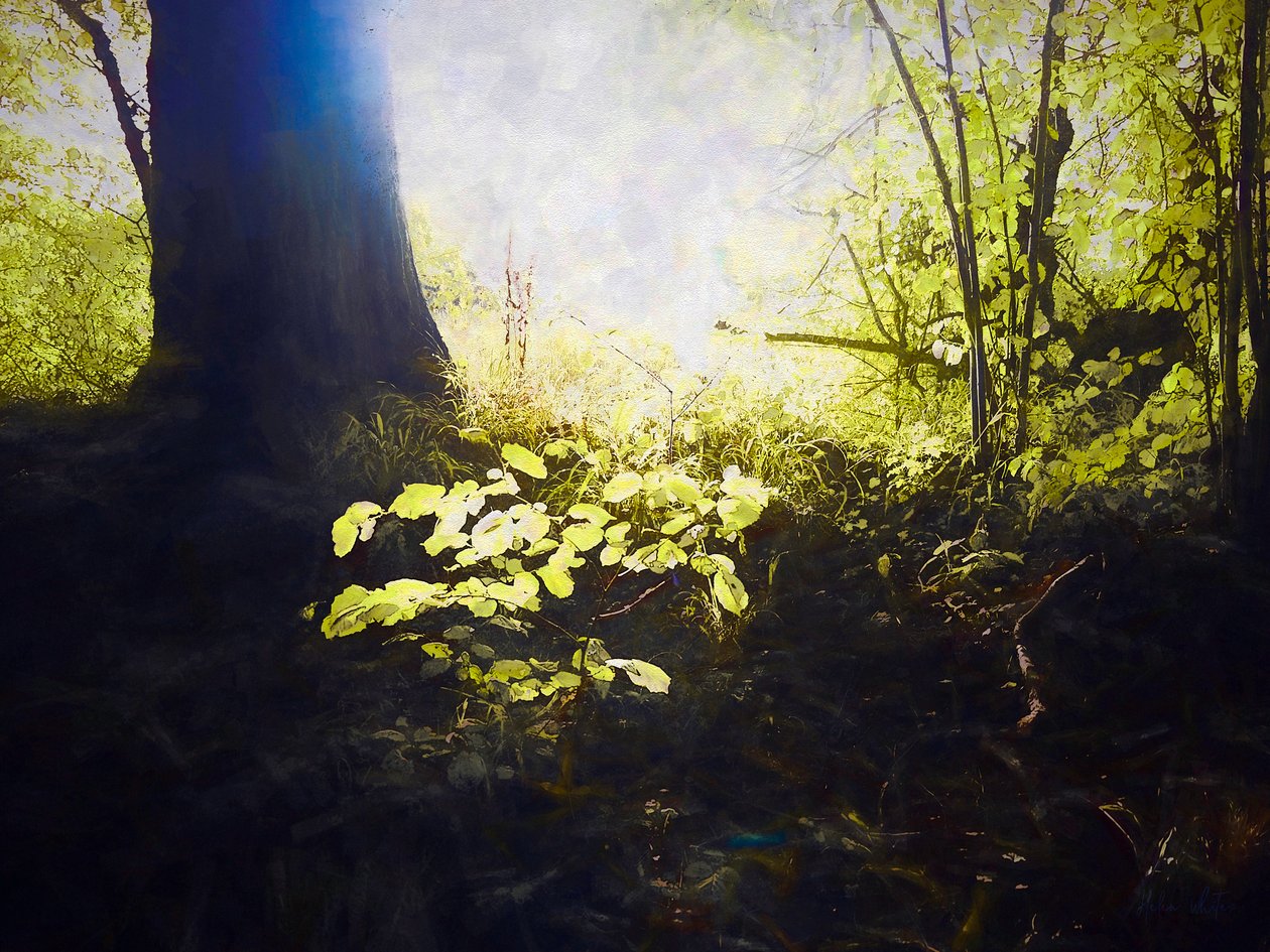 Heilige Plaats, 2018 door Helen White