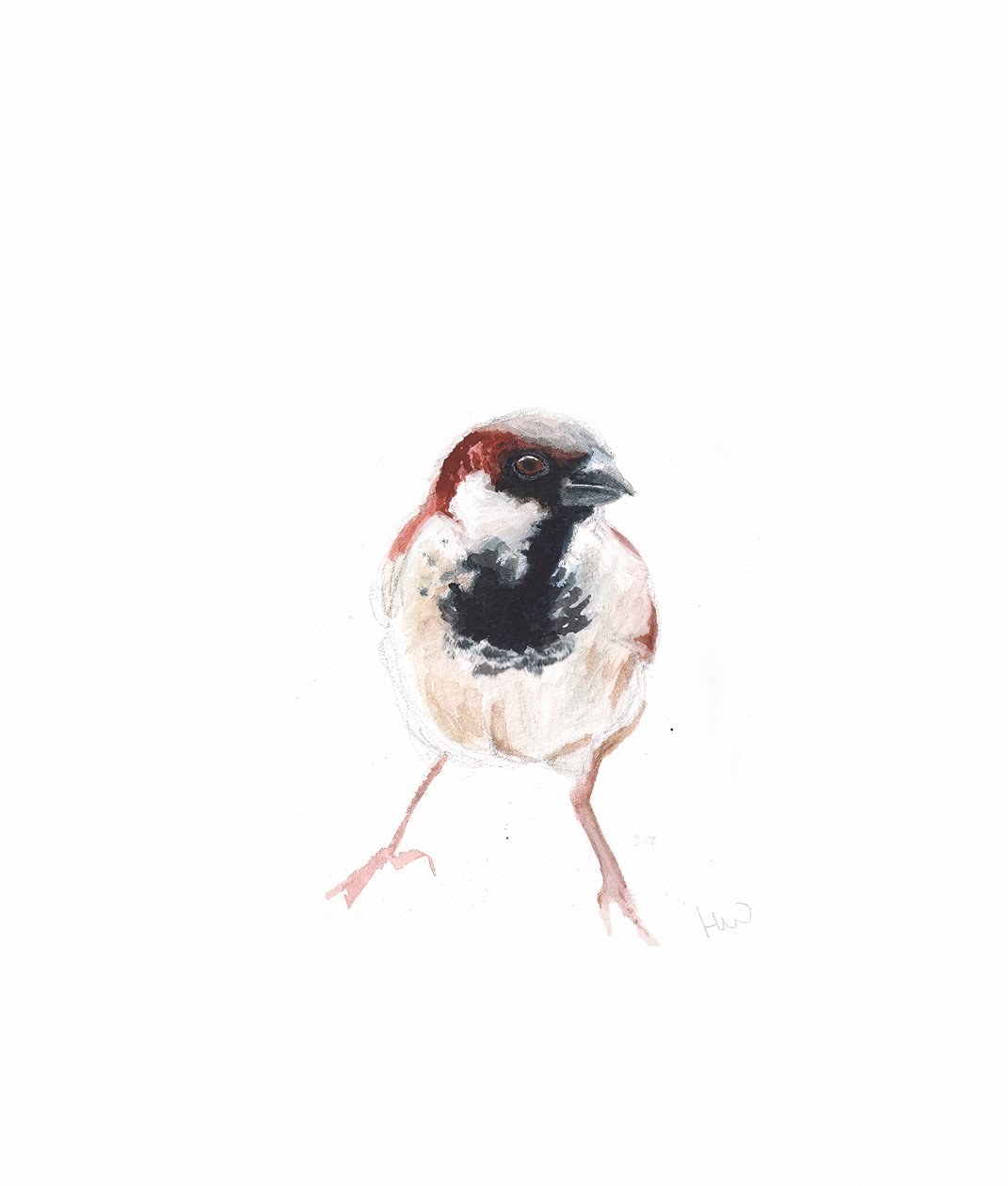 Mannetje mus I door Helen White
