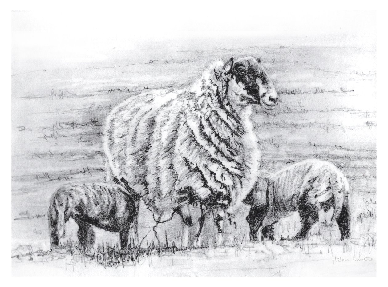 Trots, 2012 door Helen White
