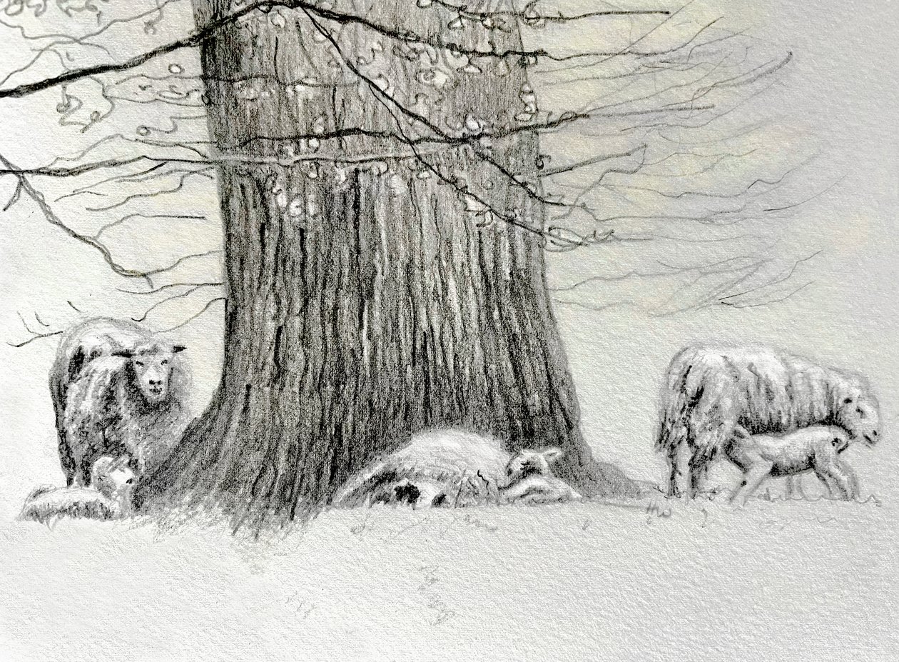 Shady Tree, 2022 door Helen White