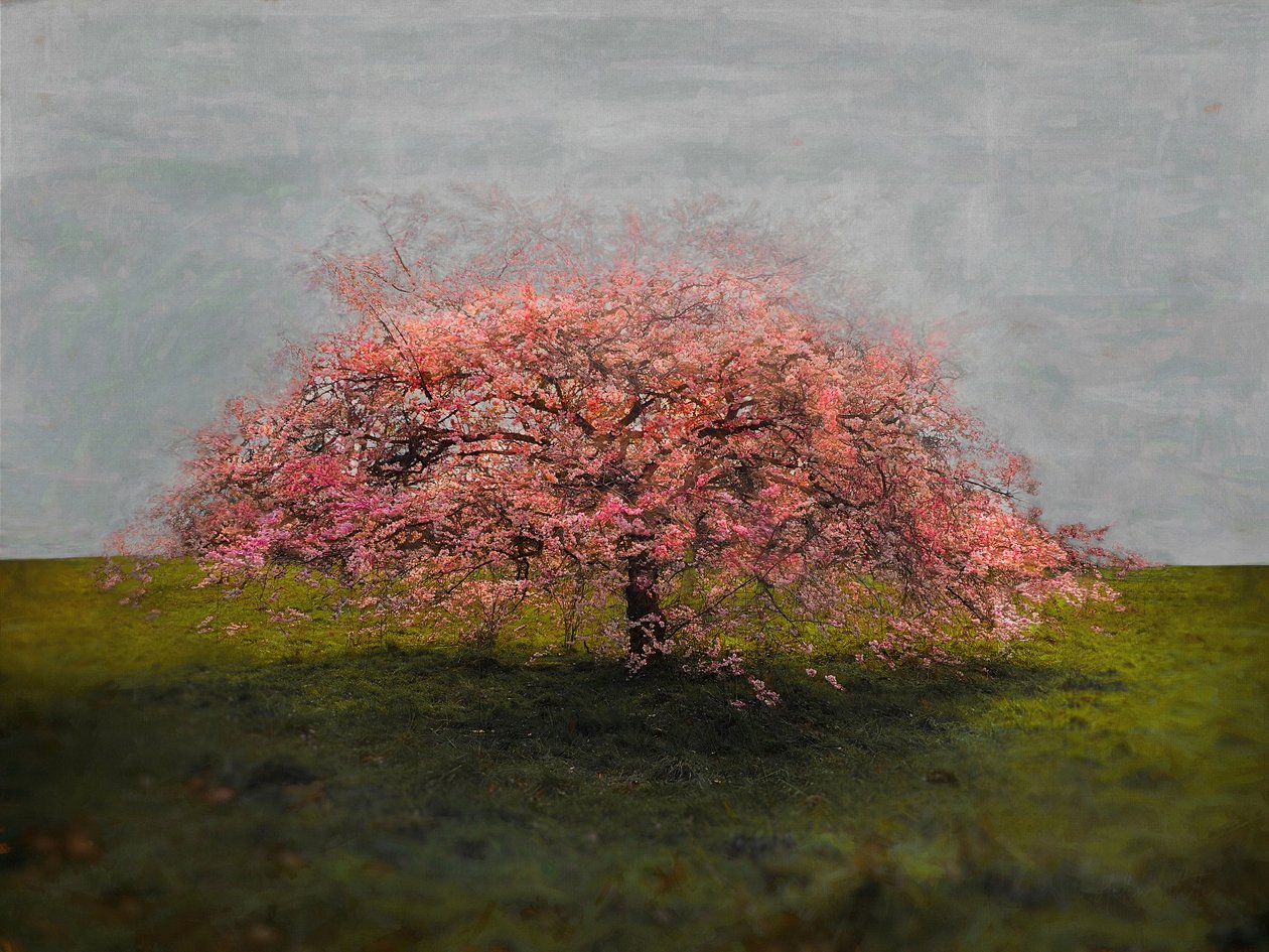 Alleenstaande Schoonheid, 2019 door Helen White