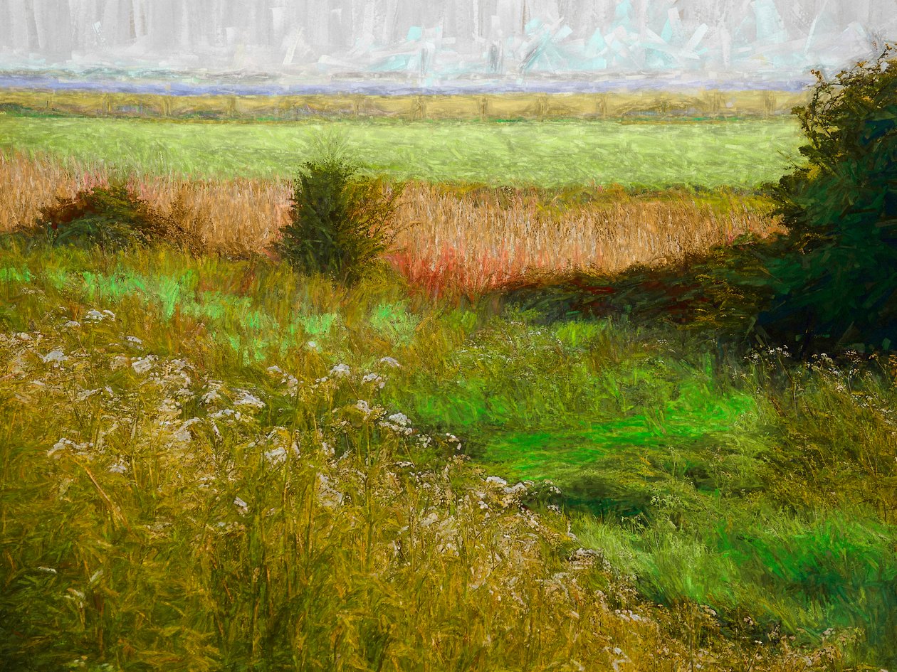Zomerweide, 2019 door Helen White