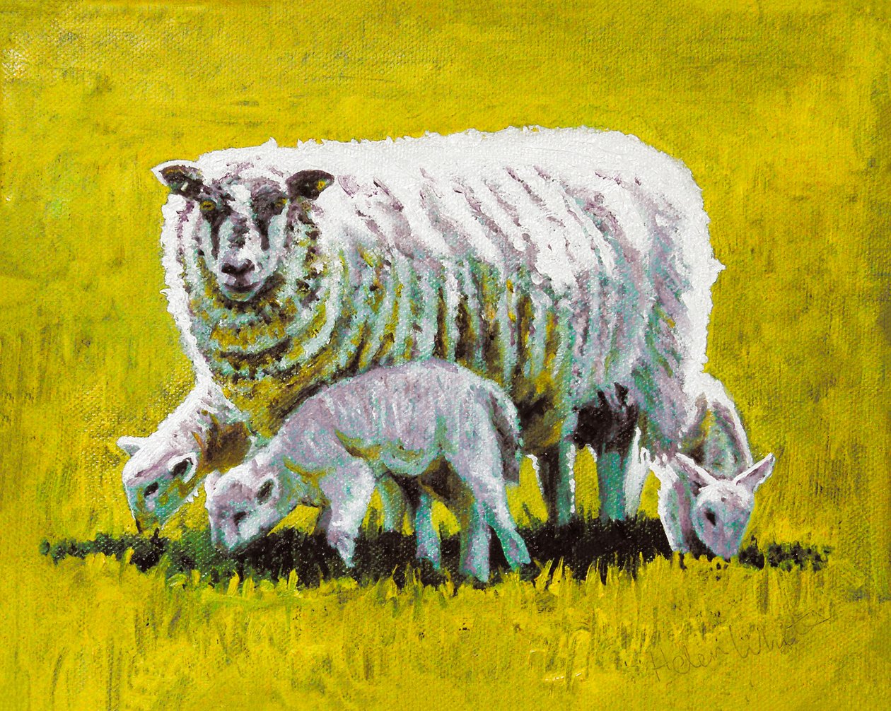 Samen, 2009 (olieverf op doek) door Helen White