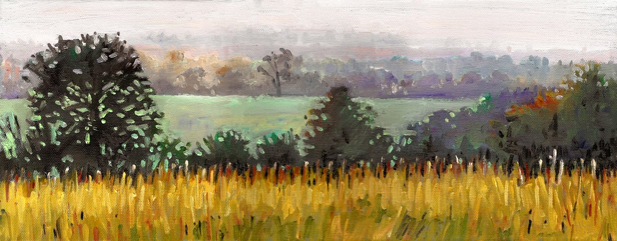 Naar Grazeley, 2012 (olieverf op doek) door Helen White