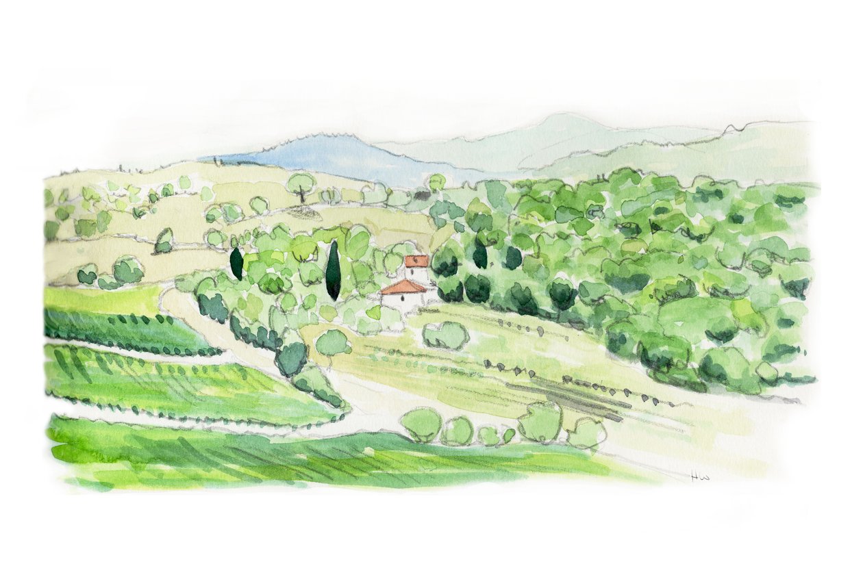Toscaanse heuvel, 2014 (potlood en aquarel) door Helen White