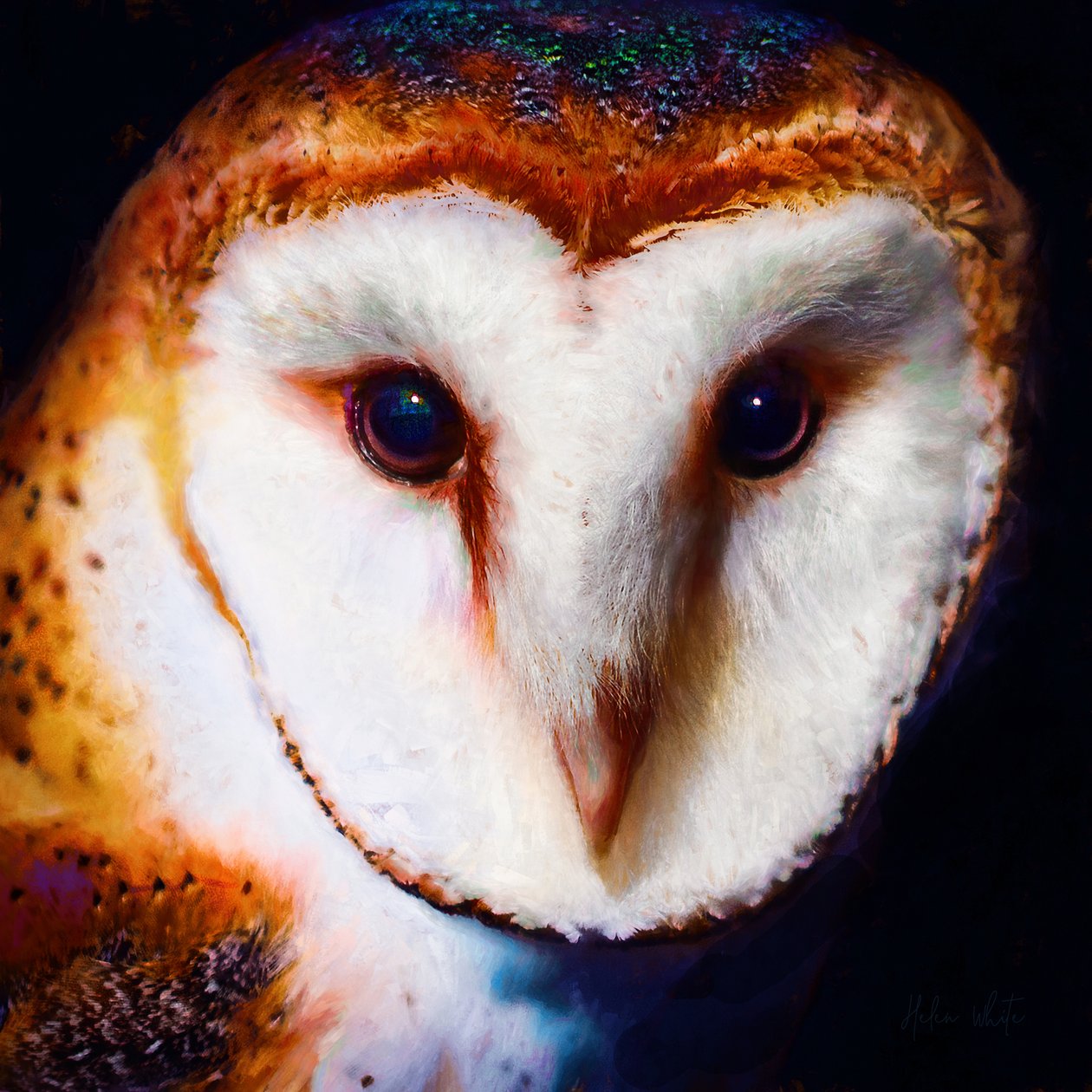 Wijsheid in het donker, 2019 door Helen White