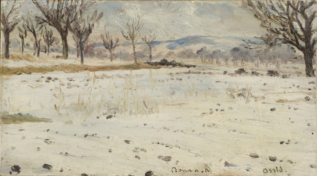 Bonn aan de Rijn. Winterlandschap door Helmer Osslund