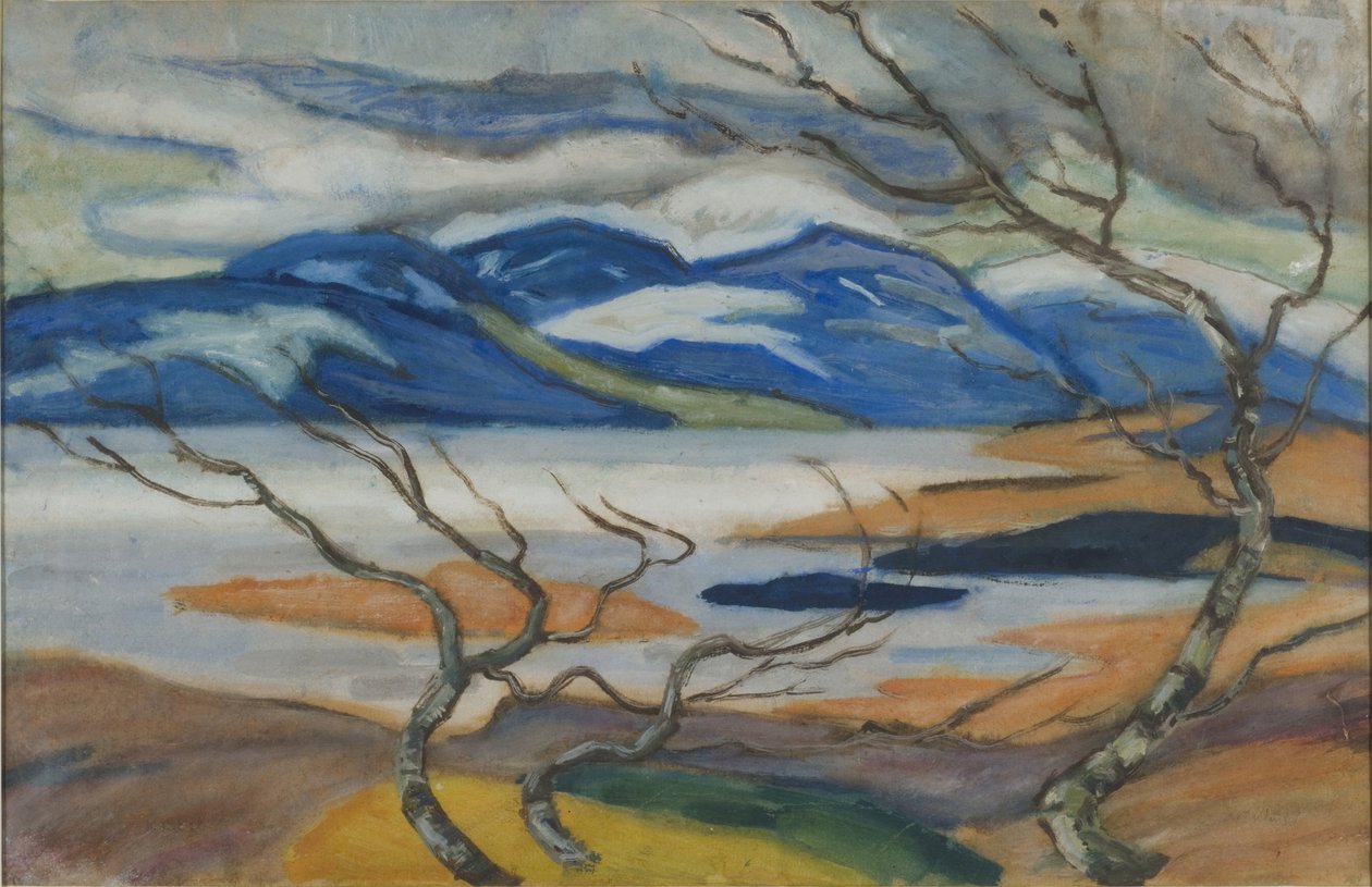 Torne Marsh in het voorjaar door Helmer Osslund