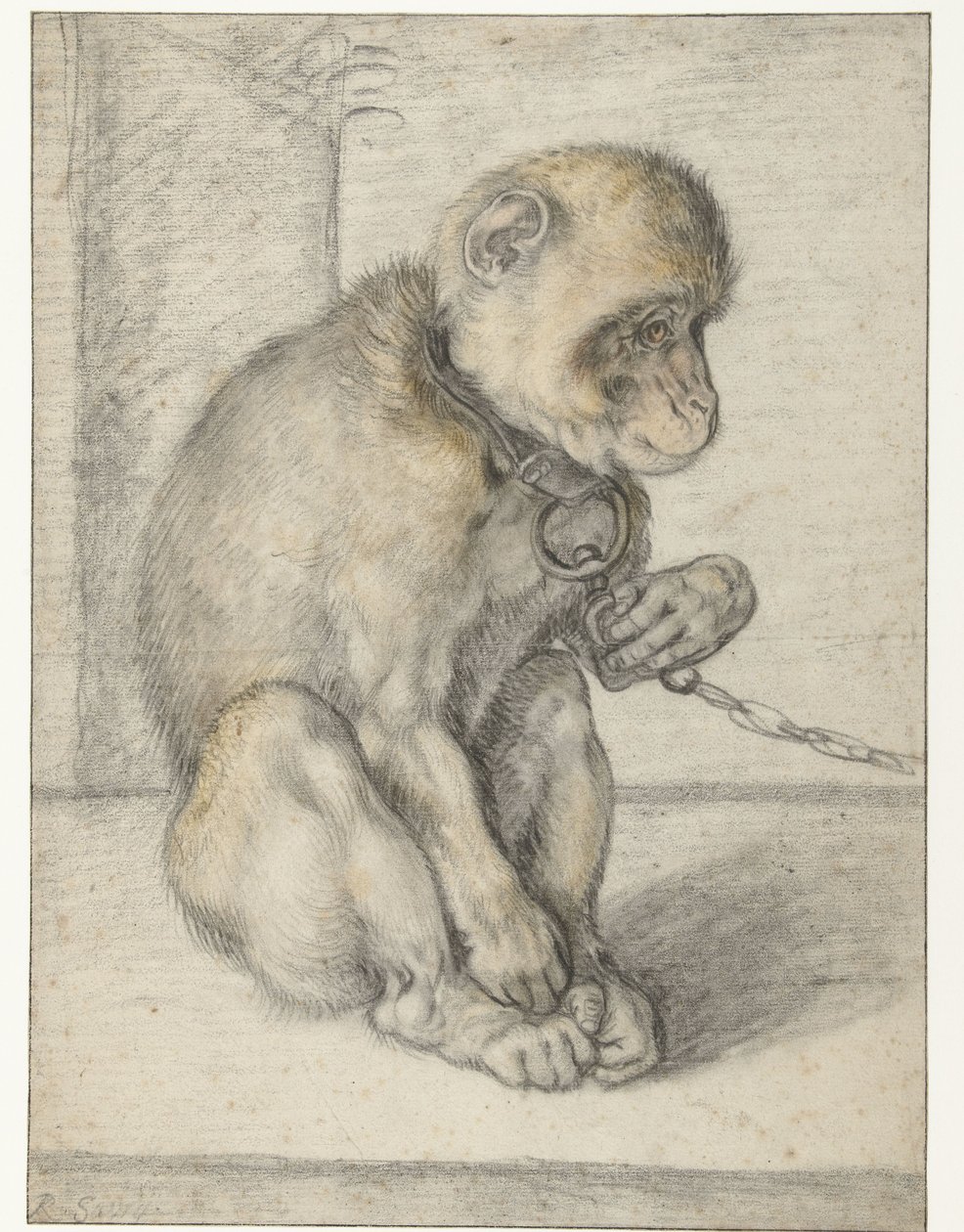 Een zittende aap aan een ketting door Hendrick Goltzius