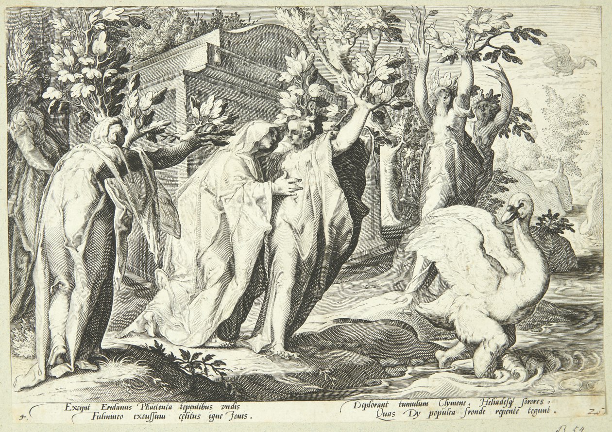 Faetons Zusters veranderen in Populieren en Cygnus in een Zwaan door Hendrick Goltzius
