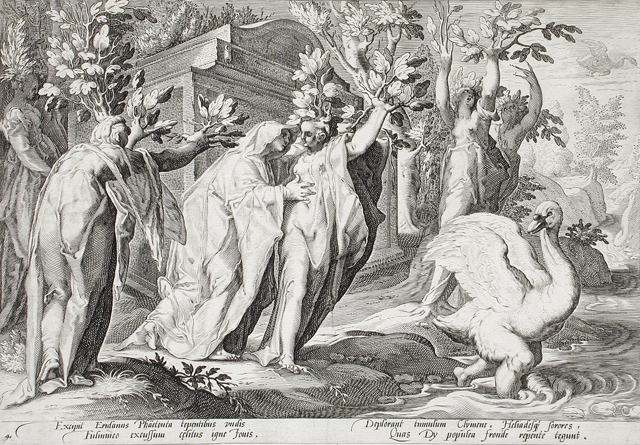 Phaëtons zusters veranderd in populieren, en Cygnus in een zwaan door Hendrick Goltzius
