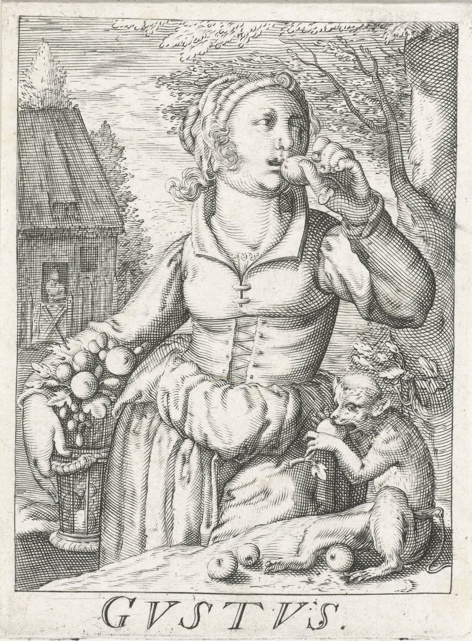 Smaak, een vrouw met vruchten door Hendrick Hondius (rejected attribution)