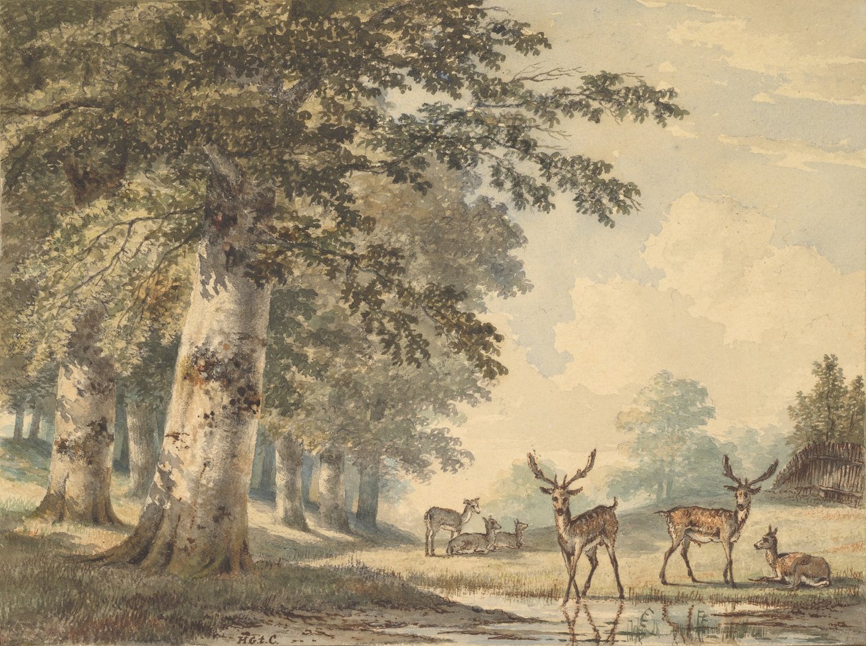 Herten onder beukenbomen in de winter door Hendrik Gerrit ten Cate