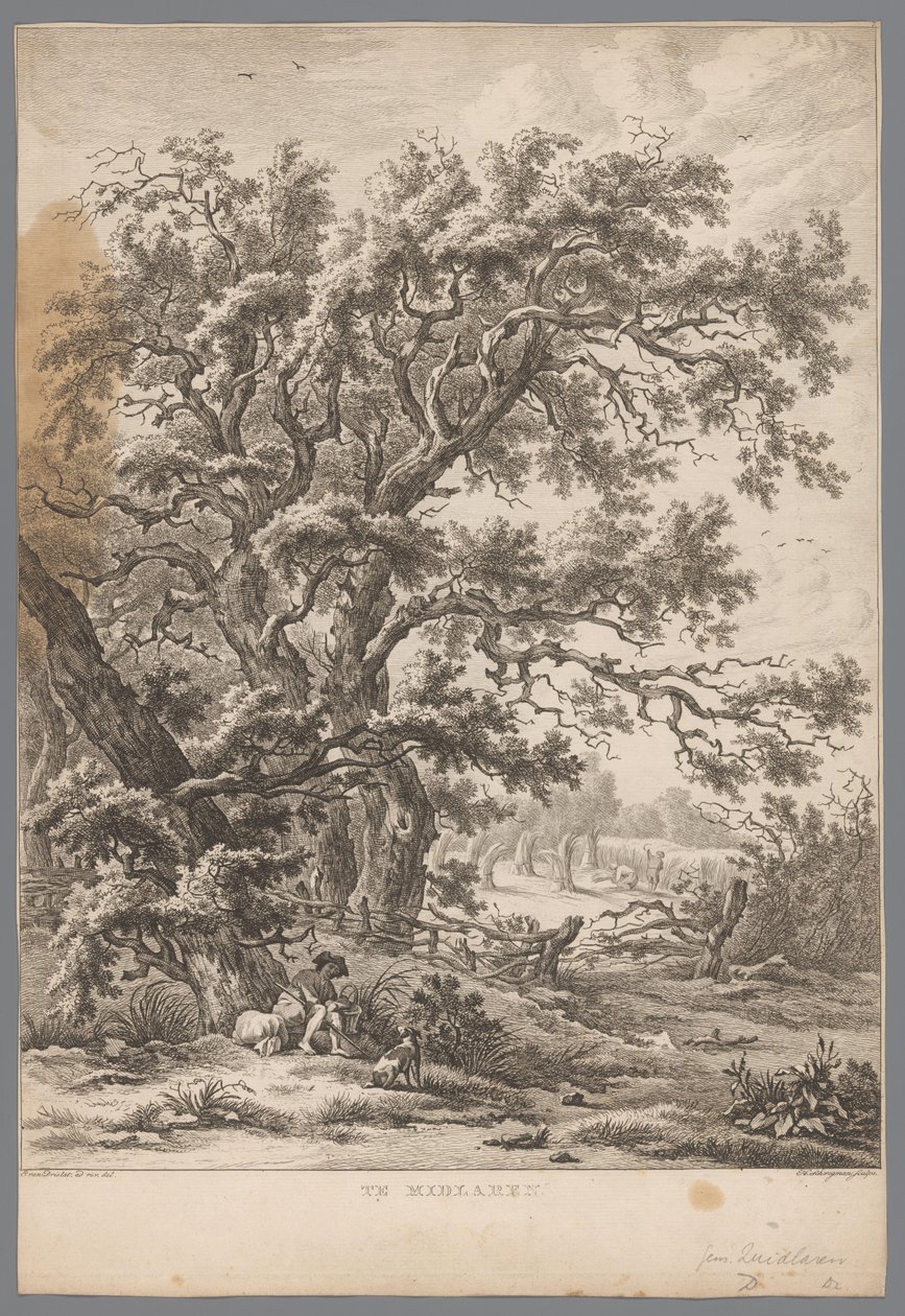 Landschap met een man en hond onder een boom bij Midlaren Negen gezichten in Drenthe (serie titel) IX Gezichten in, en bij het landschap Drenthe (serie titel) door Hendrik Schwegman