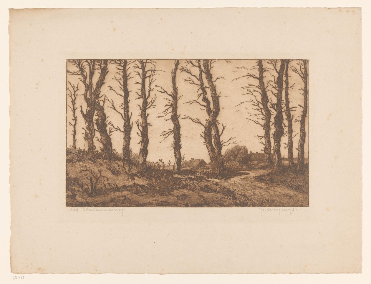 Oud Blaricummerweg door Hendrik Weegewijs (signed by artist)