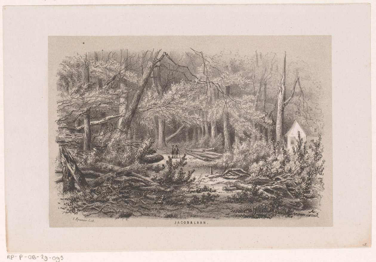 Omgewaaide bomen aan de Jacobalaan, na de storm van 28 mei 1860 door Hendrik Wilhelmus Last