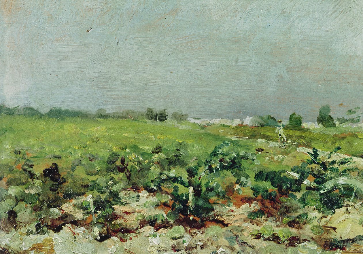 Celeyran, Uitzicht op de Wijngaard, 1880 door Henri de Toulouse Lautrec