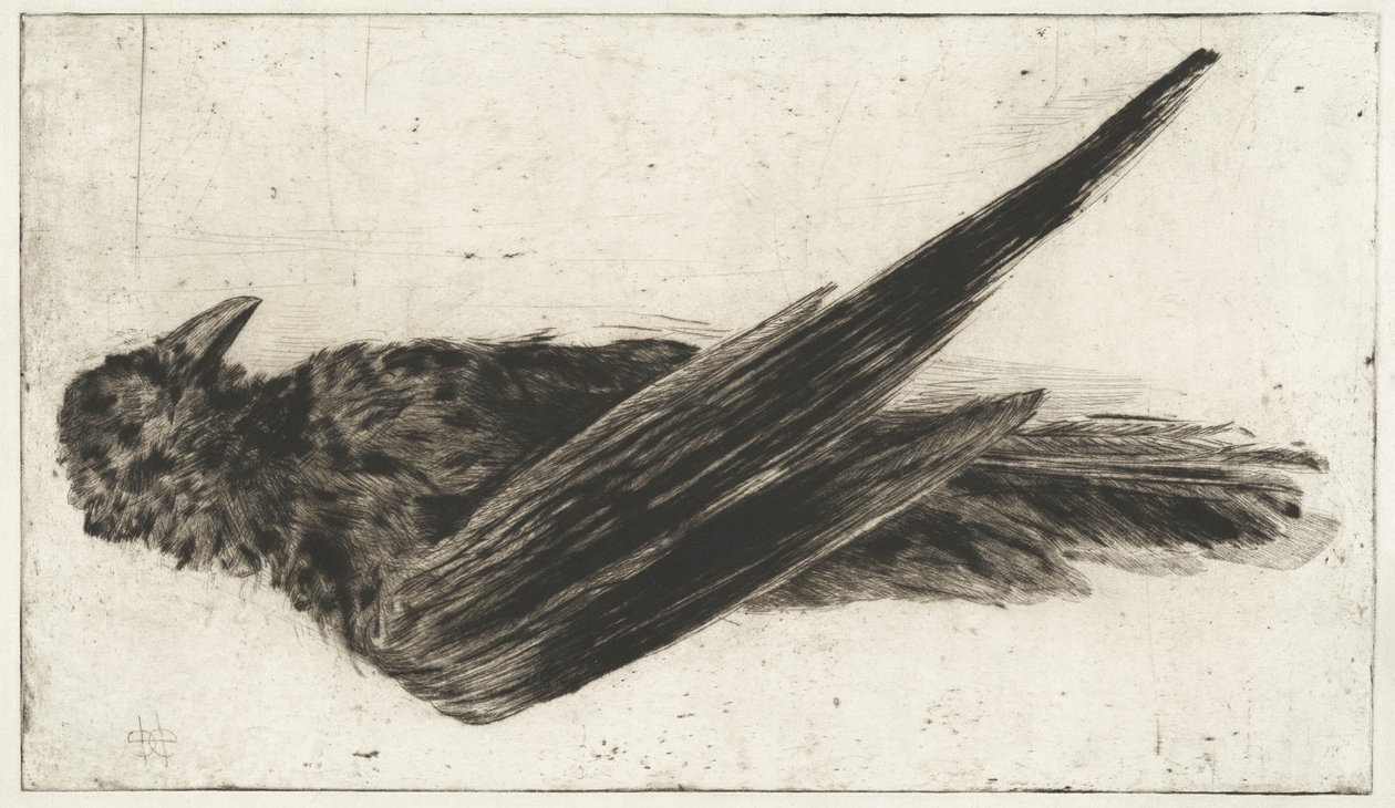 De grote hangende raaf door Henri-Charles Guérard