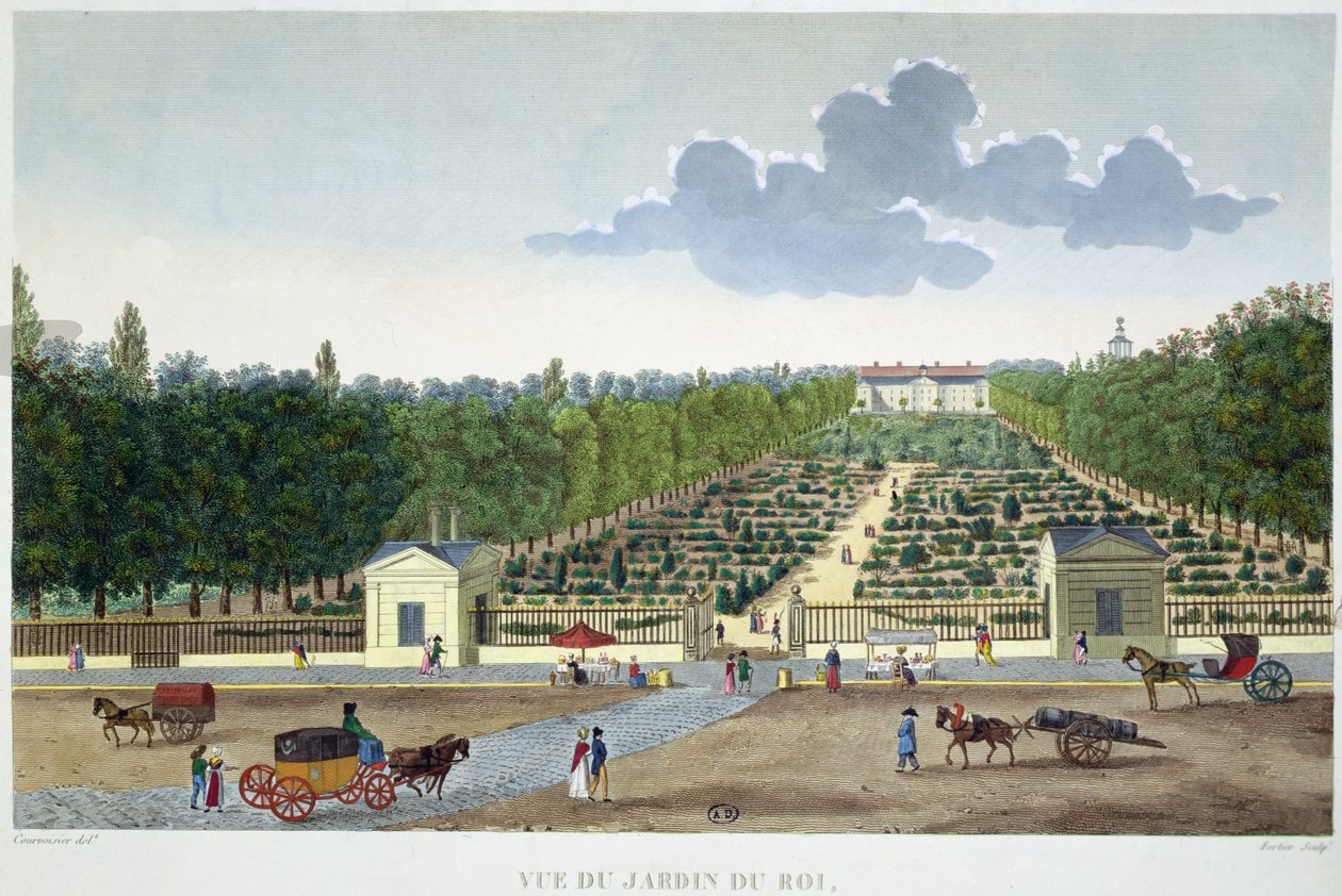 Uitzicht op de Jardin du Roi in Parijs vanaf de brug van Austerlitz, gegraveerd door Claude Fortier (1775-1835) door Henri (after) Courvoisier Voisin
