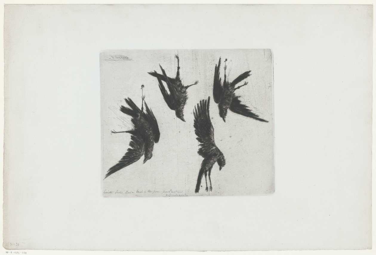 Vier dode kraaien hangend aan een muur door Henri Charles Guérard (signed by artist)