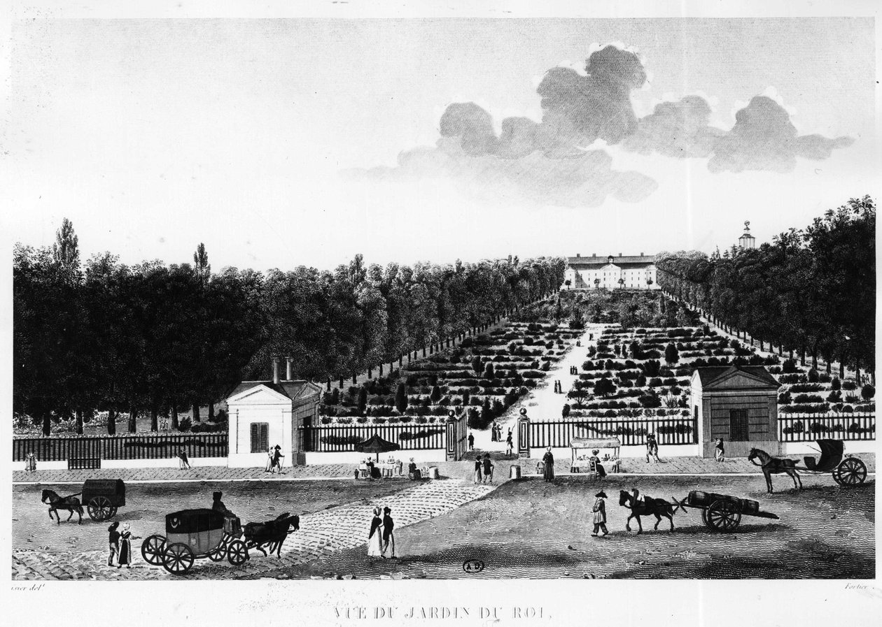Uitzicht op de tuin van de koning: de Jardin des Plantes in Parijs - gravure door Courvoisier door Henri Courvoisier Voisin