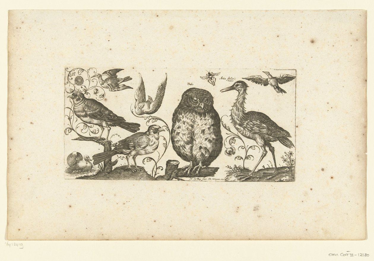 Negen vogels en een insect door Henri Le Roy