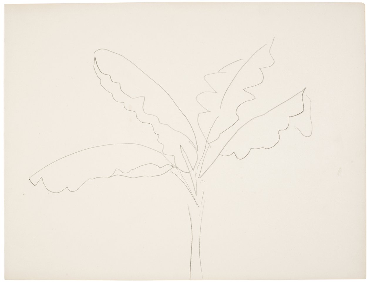 Bananenboom (Tahiti) door Henri Matisse