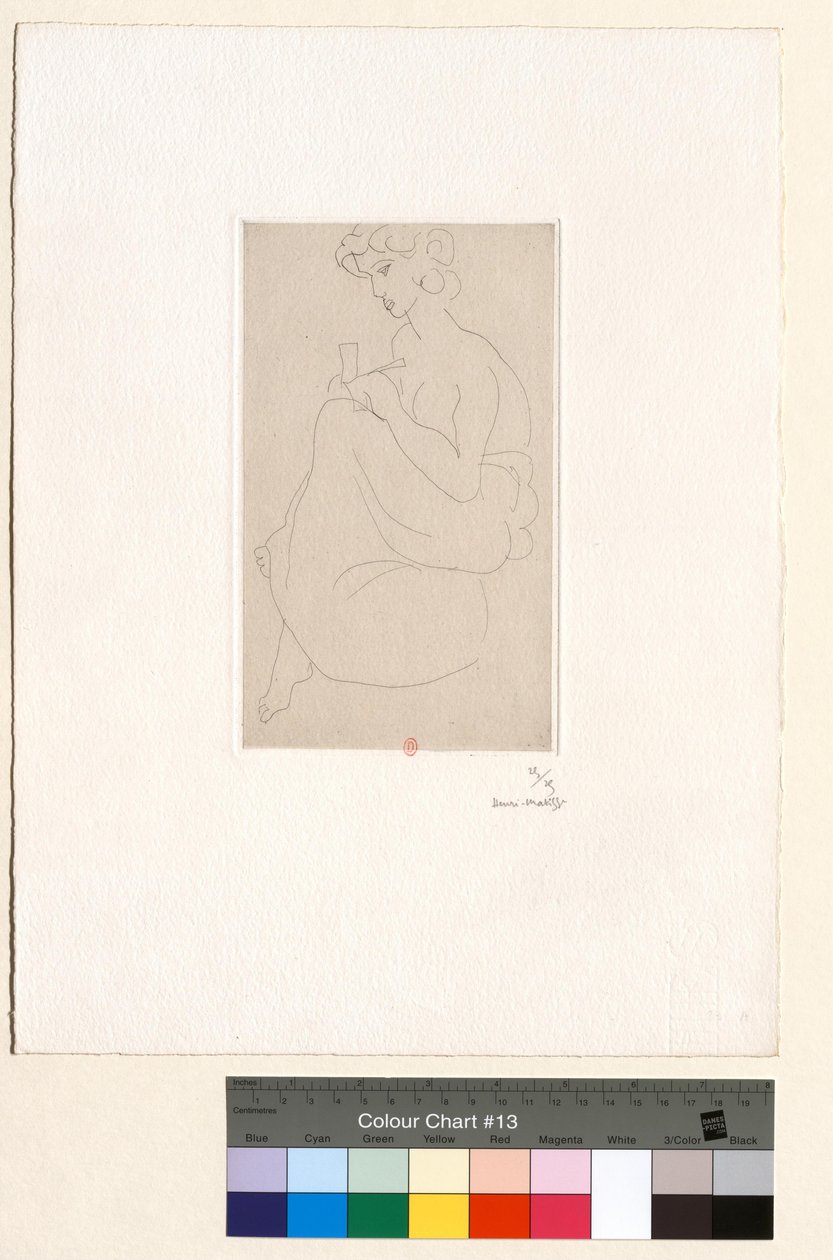 De briefwisseling door Henri Matisse
