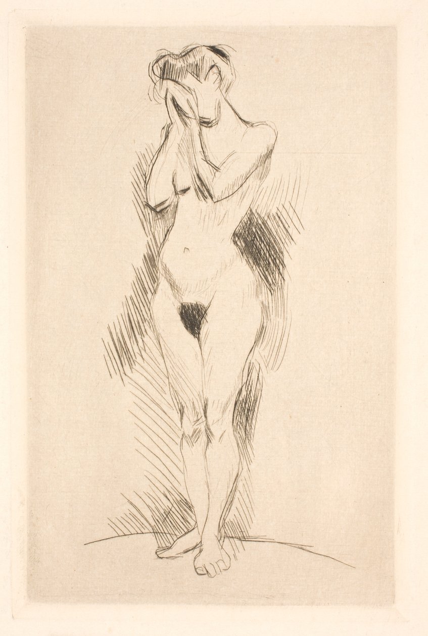 De eerste pose door Henri Matisse