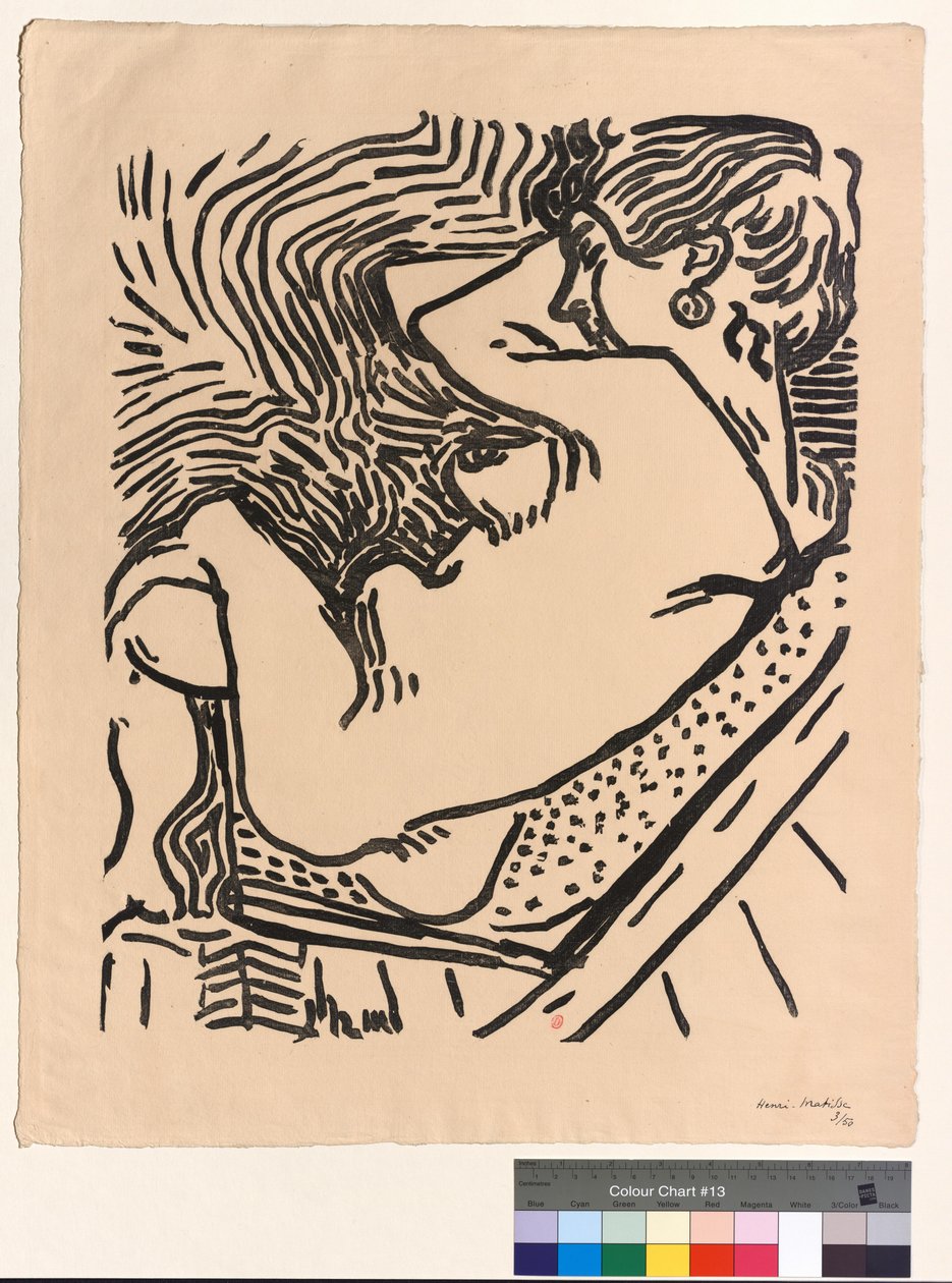 Het Grote Bos door Henri Matisse