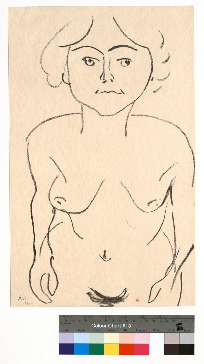 Naakt van voren, bovenaanzicht door Henri Matisse