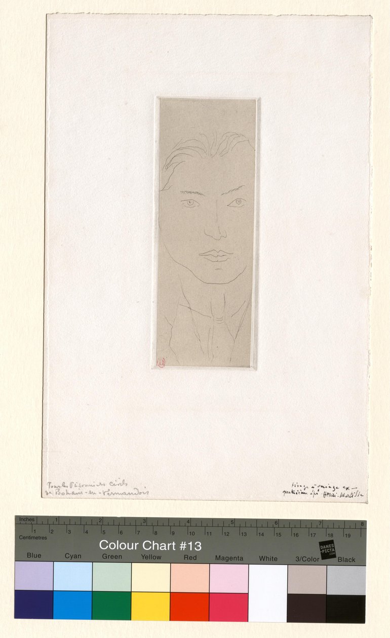 Olivares door Henri Matisse