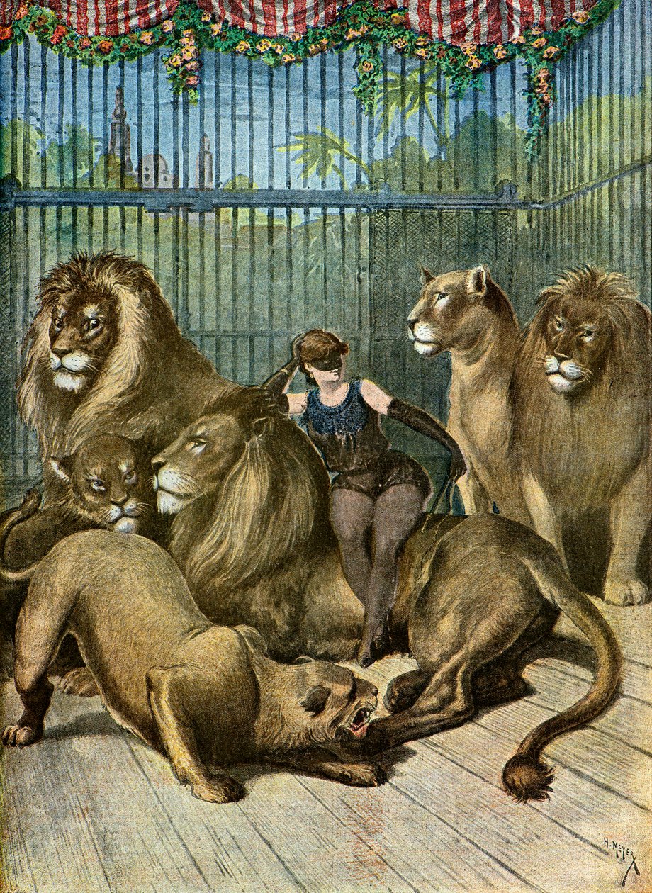 Portret van de gravin van X*** en haar leeuwen,1895 (Illustratie) door Henri Meyer