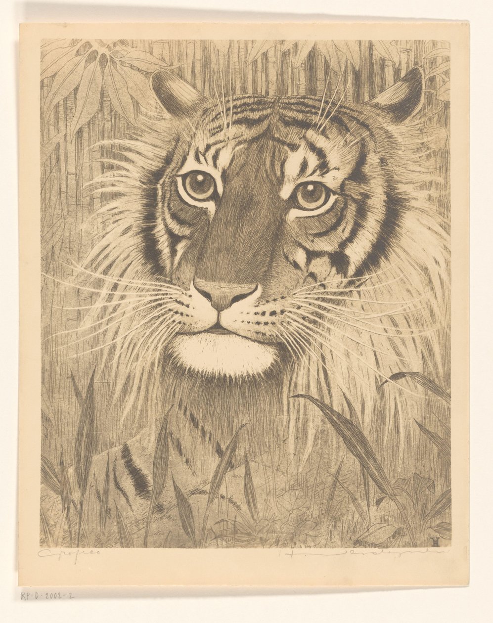 Kop van een tijger door Henri Verstijnen (signed by artist)