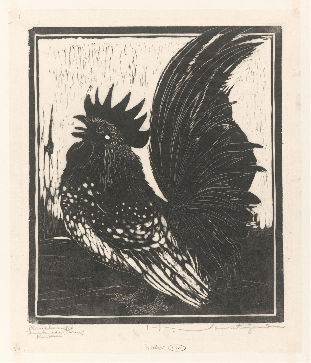 Krielhaantje door Henri Verstijnen (signed by artist)