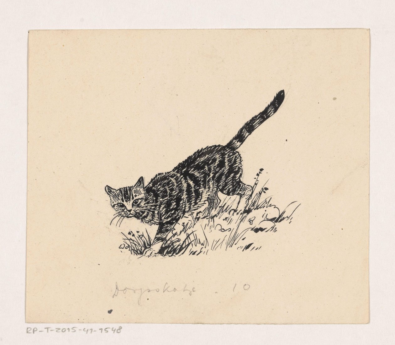 Kat door Henri Verstijnen