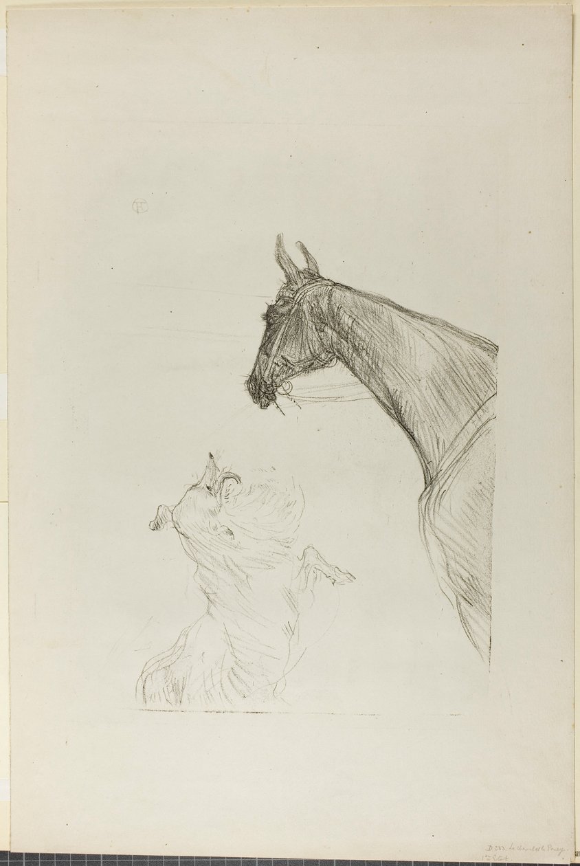 Paard en Collie door Henri de Toulouse-Lautrec