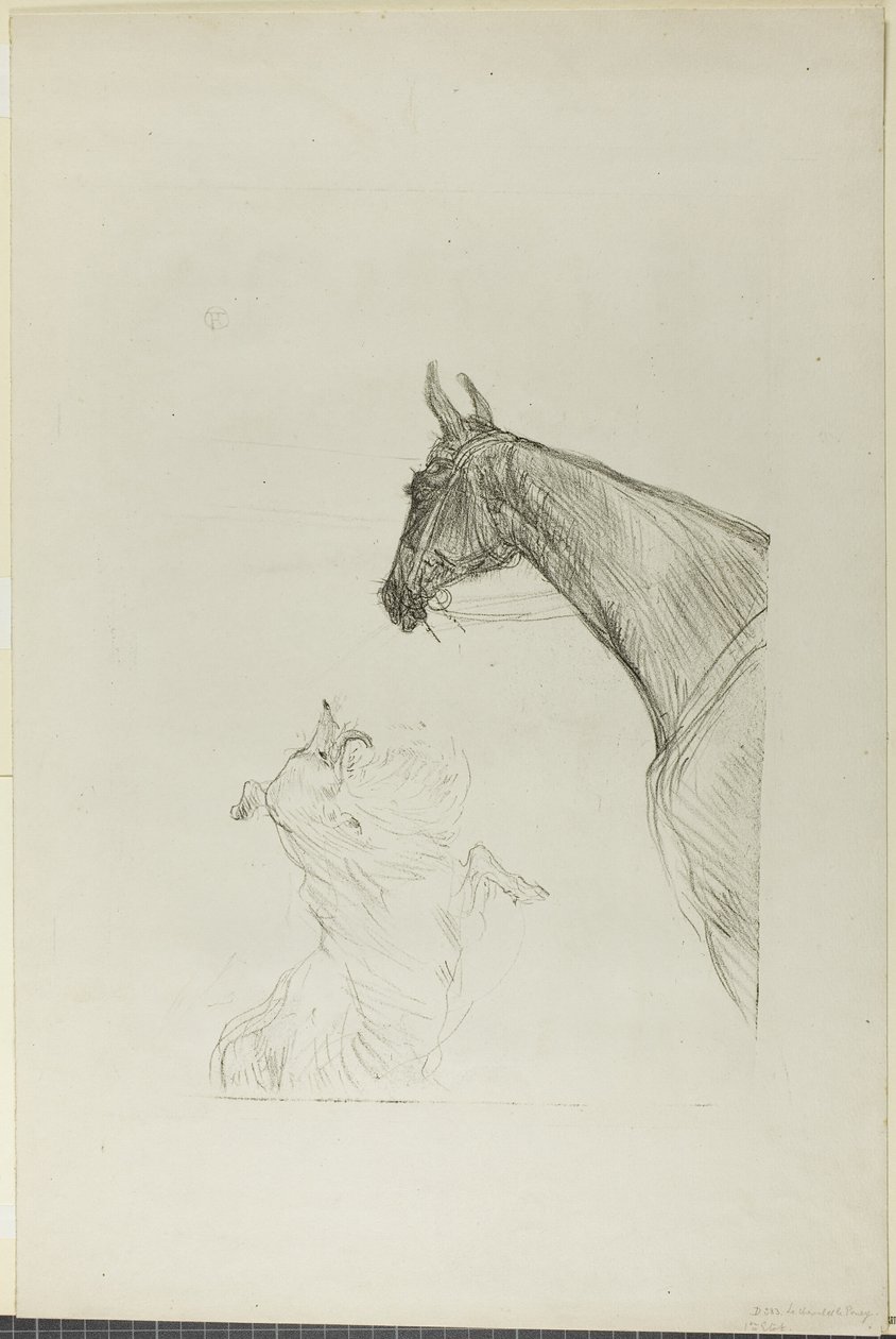 Paard en Collie door Henri de Toulouse Lautrec