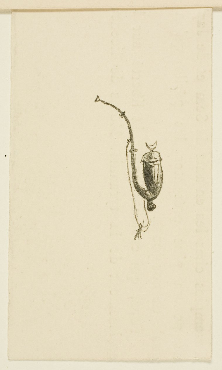 Vignet uit Au Pied du Sinaï door Henri de Toulouse Lautrec