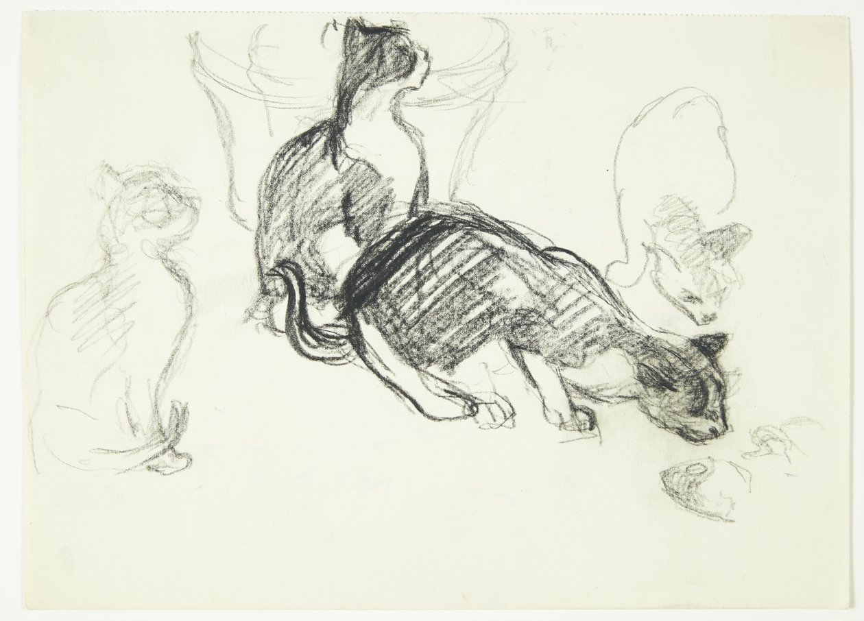 Studieblad met katten door Henrik Schouboe